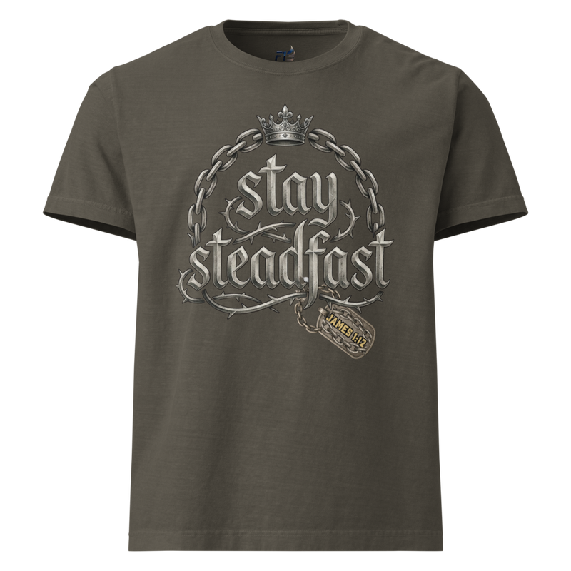 James 1:12 Oversized Garment-Dyed T-Shirt