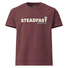 James 1:12 Steadfast Unisex Oversized Garment-Dyed T-Shirt | Bella